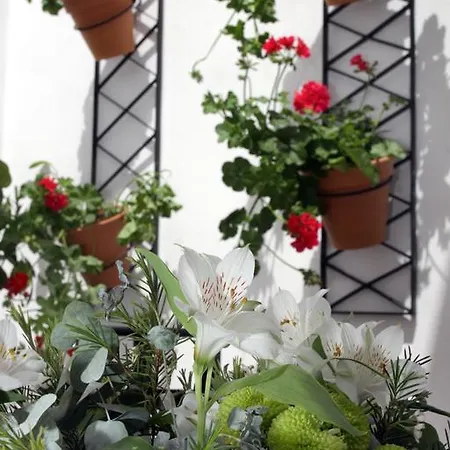 Appartamento San Fernando 76