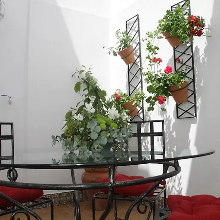 Apartment San Fernando 76