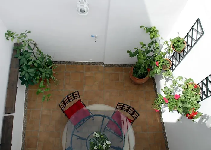 Apartament San Fernando 76 *