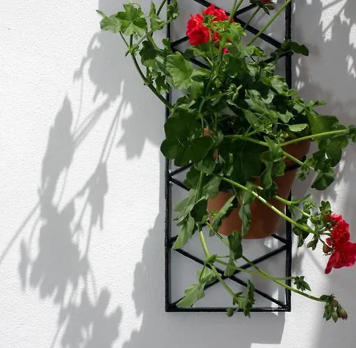 Apartament San Fernando 76