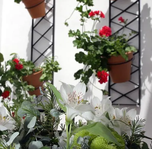 Apartament San Fernando 76