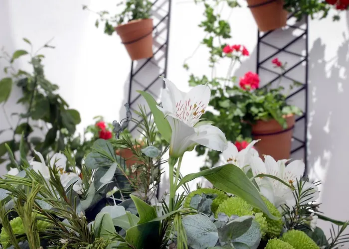 Apartament San Fernando 76 Kordoba