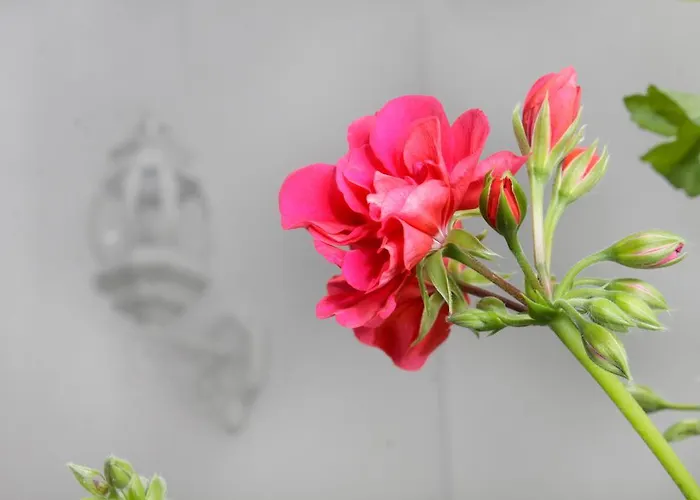 Апартаменти San Fernando 76 *