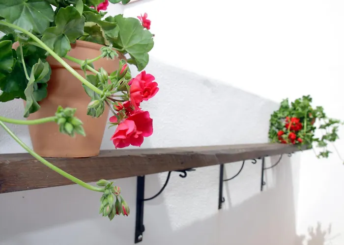 Apartament San Fernando 76 Kordoba