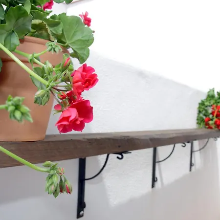 Apartman San Fernando 76 Córdoba